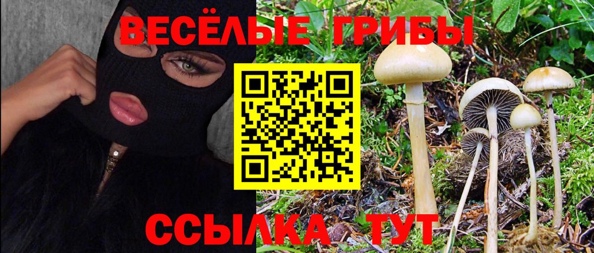Мирный  Псилоцибиновые грибы мухоморы  Вход с VPN 