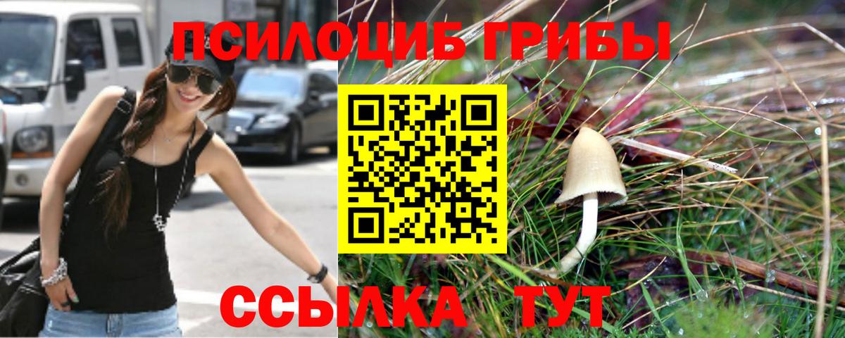 Псилоцибиновые грибы Cubensis Мирный